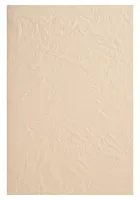chairs-amiata-nut-vanilla-6.jpg